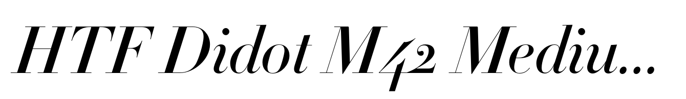 HTF Didot M42 Medium Italic